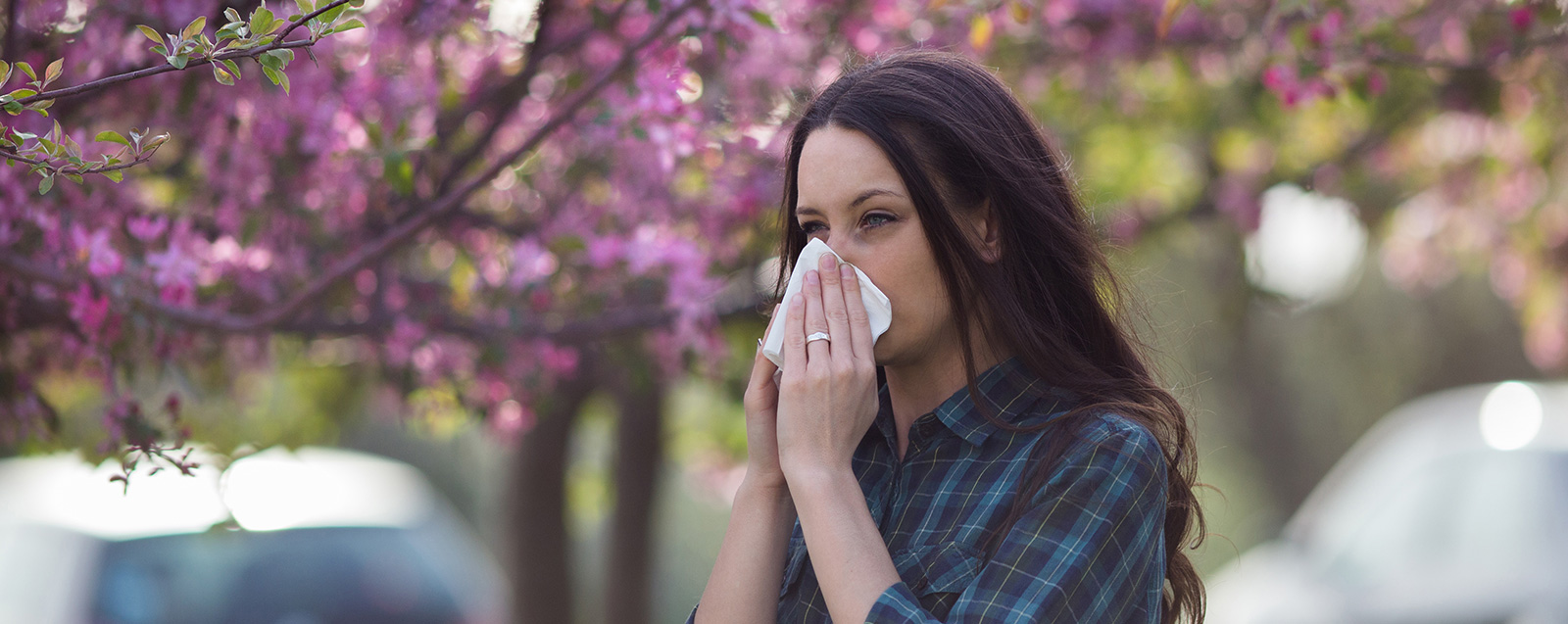 Illustrasjon av antihistaminers virkning på kroppen