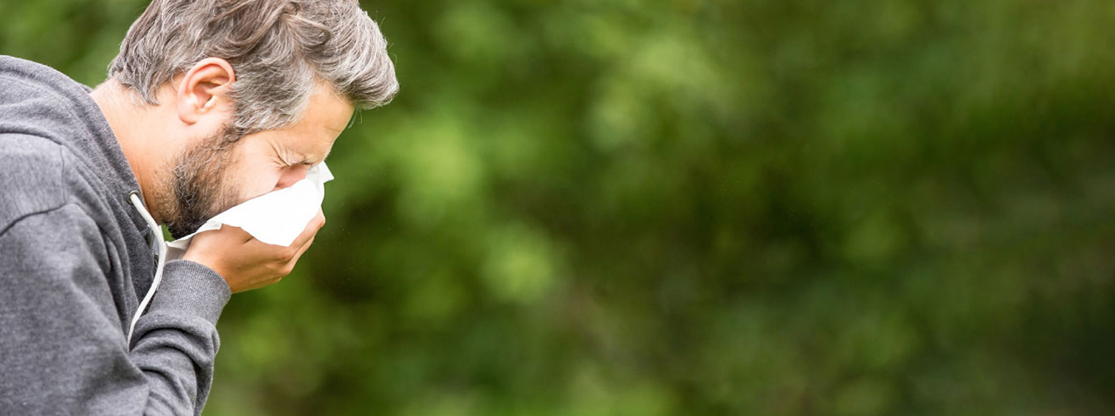 Kollasj av vanlige allergikilder som pollen og støv